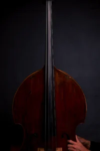 Upright bass for story page