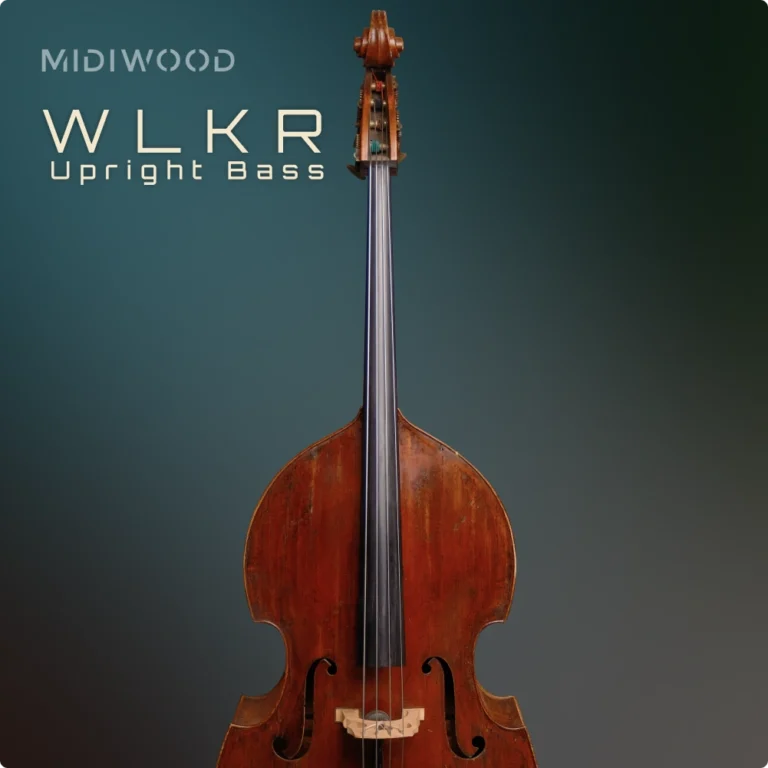 WLKR Upright Bass Product Image